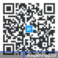 iPhone 专版 二维码